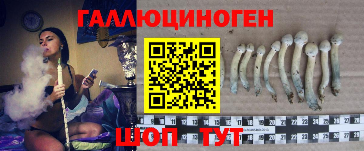 Псилоцибиновые грибы Magic Shrooms  Вход с VPN  Апрелевка 